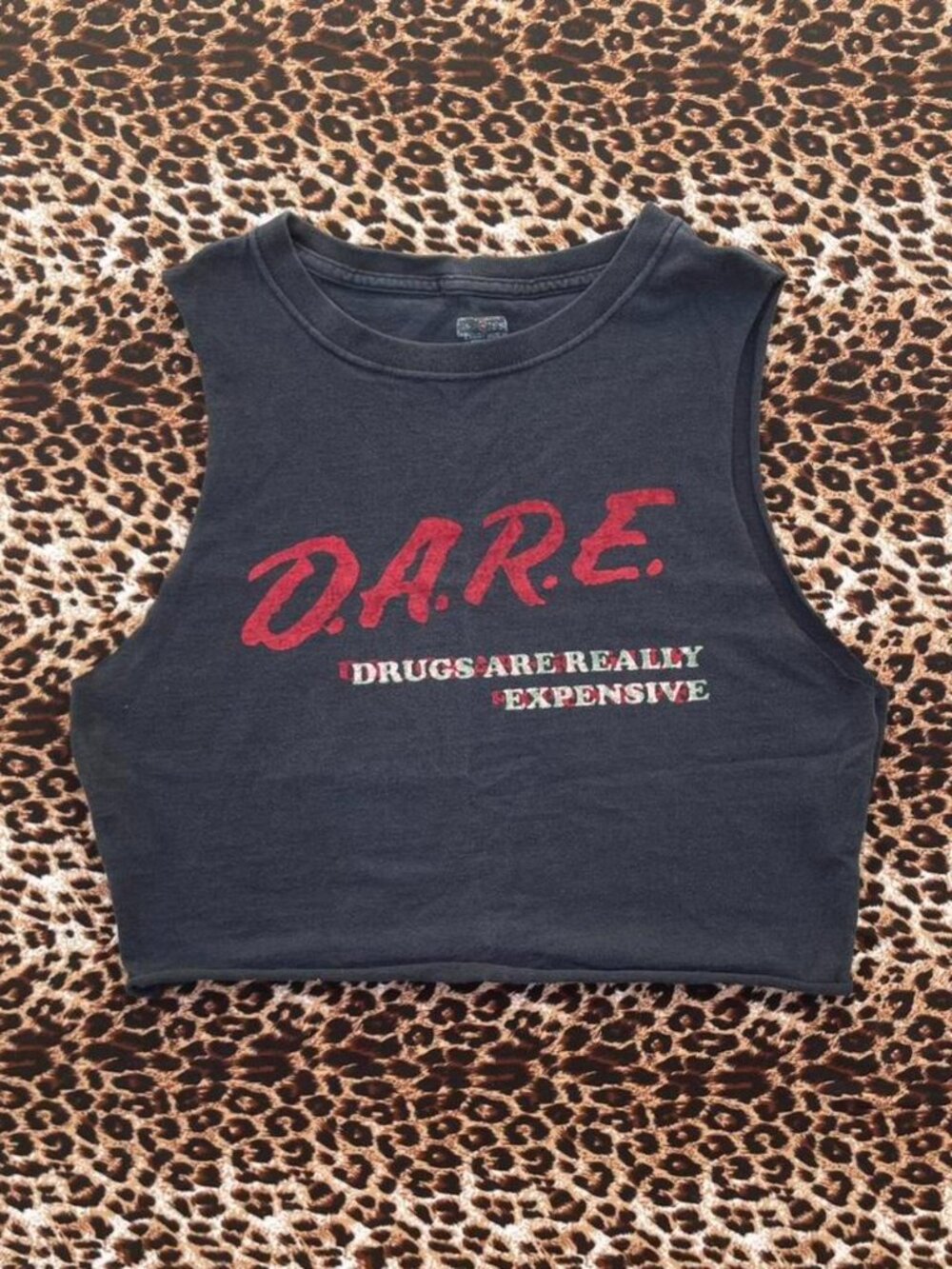 D.A.R.E “dr*gs r really expensive” y2k crop top